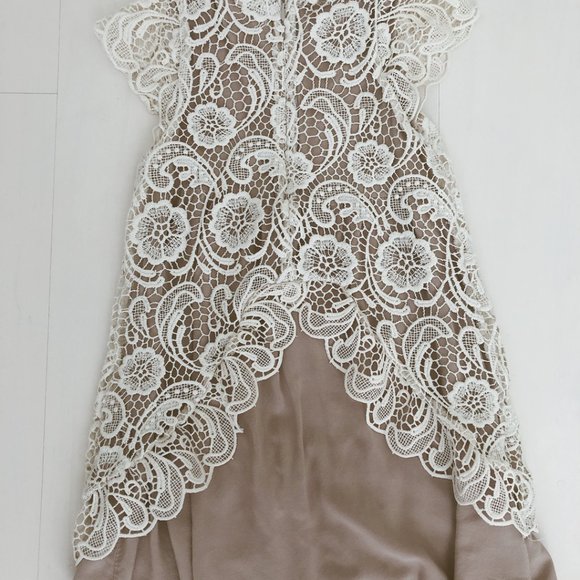 Soft Light Tan and White Lace Dress - Picture 2 of 5
